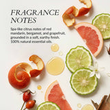 Body Oil